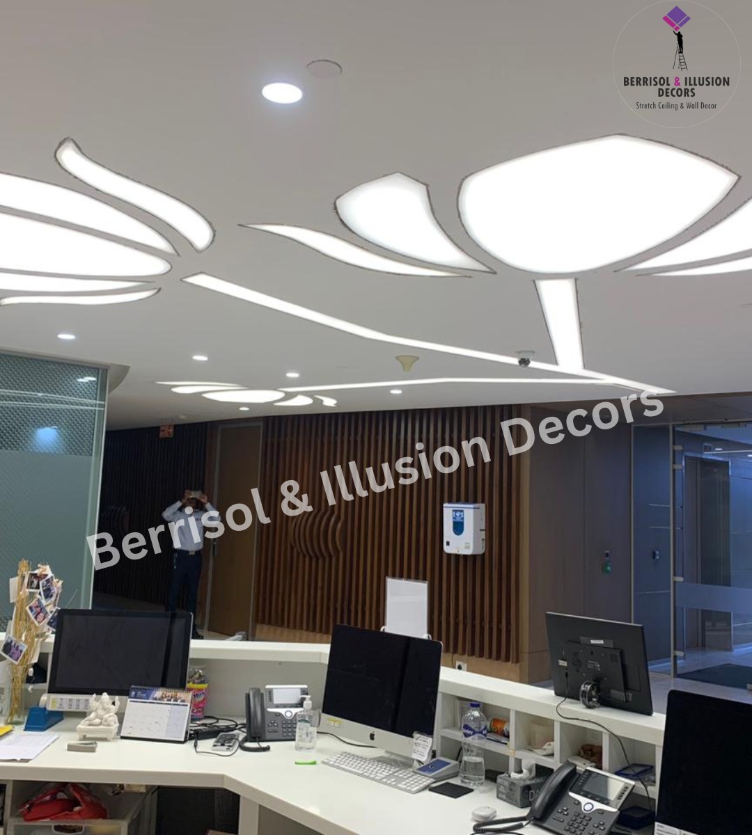 Custom Lighting Solutions for Berrisol Ceilings