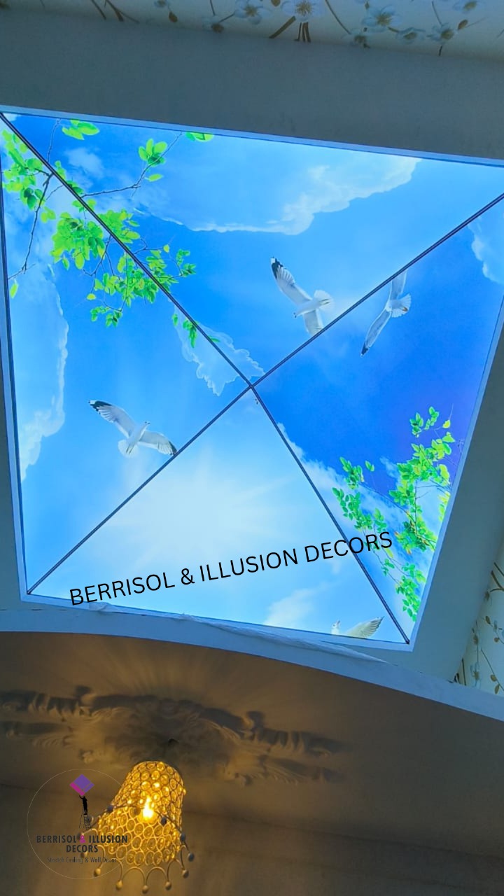 Sky Printed Stretch Ceiling